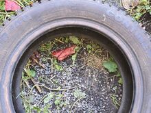 Naastrehvid Continental 155/65 R14