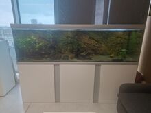 Akvaarium koos kalade ja taimedega