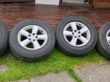 Kia sportage alt naastrehvid