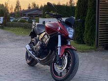 Honda Hornet