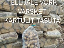 KUIVAD KÜTTEPUUD VÕRGUS