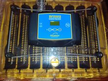Brinsea Advance inkubaator