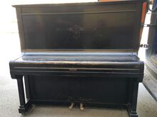 Pianiino M.Salong