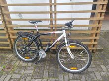 Jalgratas Scott Tigua 7005