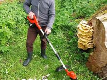 Akutrimmer jõhviga 18V