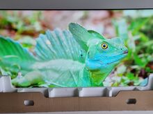 55" Samsung Monitor UUS