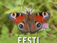 Raamat "Eesti päevaliblikad"
