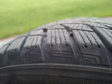 Talverehvid R16