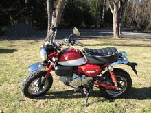 Хонда Monkey Z125M
