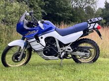 Honda Transalp XL 600V PD06