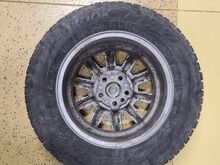 Volvo veljed