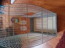 Linnupuur