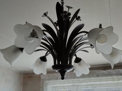 Laelamp 6 kupliga
