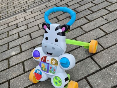 Beebi käimistugi