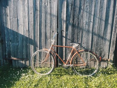 Retro jalgratas Ereliukas 8 (NSVL-aegne klassika)