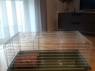 Närilise puur