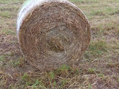 Натуральное сено с пахотных земель