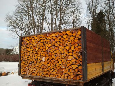 KÜTTEPUUD POOLKUIV LEPP 30,33,37,42,50 CM