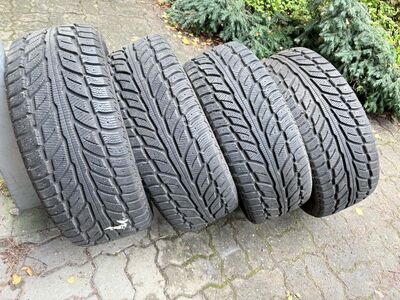 225/50R18 TALVEREHVID