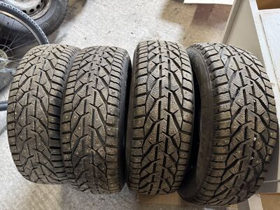 205/60 r16 Kormoran naastrehvid