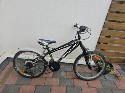 Bottecchia lasteratas