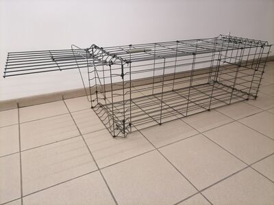 REBASELÕKS (püünis)