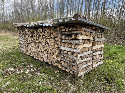 Kuivad küttepuud (lepp, 50cm)