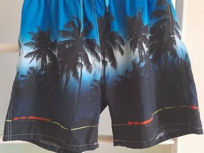 Palmidega ja Reebok ujumispüksid XXL