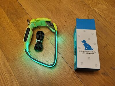 Koera LED kaelarihm