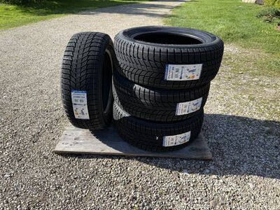 225/55R17 Triangle PL01 101R XL lamellid