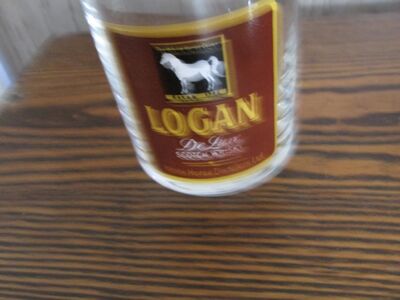 Klaas Logan