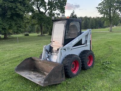 Bobcat