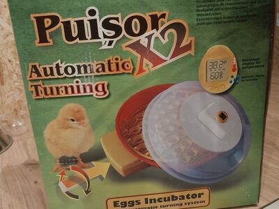 Müüa Puisor x2 inkubaator