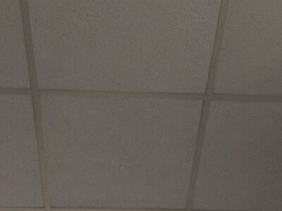 RIPPLAE PLAADID JA METALLPROFIILID  60x60
