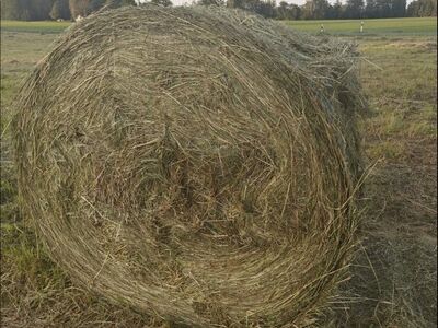 Claas Rollant 62