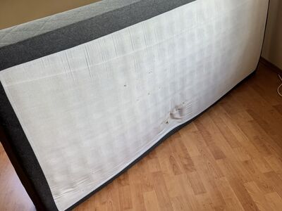 Tasuta 195x90