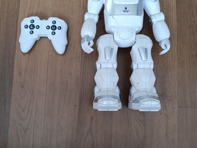 Robot