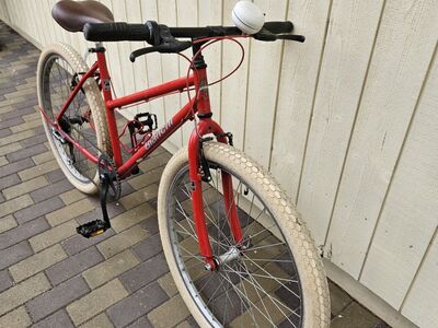 Bianchi ratas