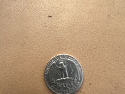 Rare 1965 Washington Quarter