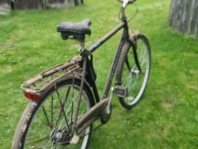 Meeste jalgratas SHIMANO CLASSIC MAGNUL 26"