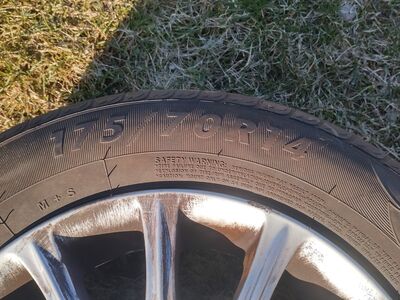Toyota Corolla M+S rehvid 175/70R14 velgedel