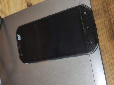Cat S31
