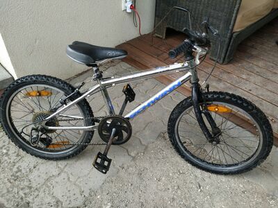 20" jalgratas Schwinn