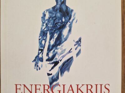 Riina Raudsik. Energiakriis