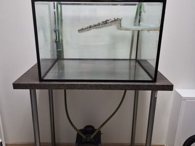 Akvaarium 100l, Eheim filter