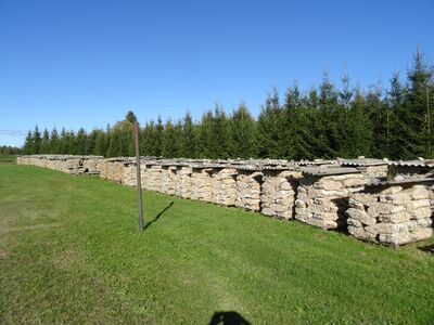 Kuivad kamina- / pliidipuud võrkkotis