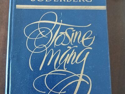 H.Söderberg "Tõsine mäng"