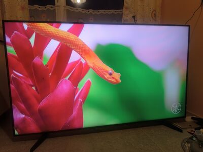 Samsung 65 tolli teler, televiisor