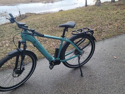 Tenways CGO600 Elektrijalgratas 250W L raam 29"
