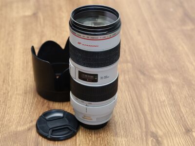 Canon EF 70-200mm f/2.8 L IS USM